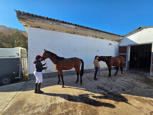 IMG-20261029-WA0012